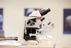 Mikroskop stereoskopowy