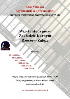 Wiyzyty studyjne