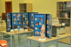 Tablice dydaktyczne obrazujące skutki nadużywania alkoholu oraz uzależnienia od środków odurzających, figura anatomiczna, modele czaszek, zestaw do pozoracji ran (po prawej)