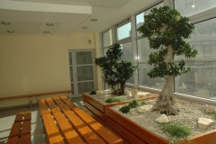 Hall Collegium Iuridicum